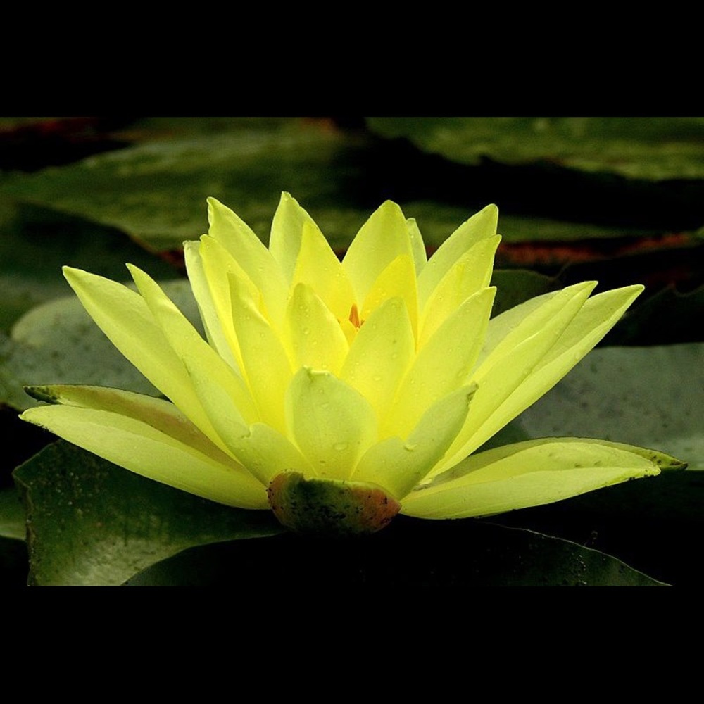 Meet your Posher, Shop Swag